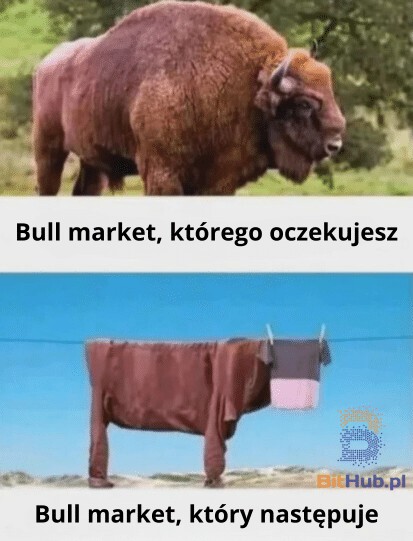 mem_oczekiwania_vs_rzeczywistość