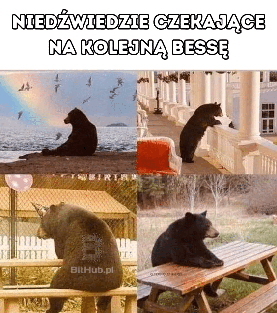 mem bear market