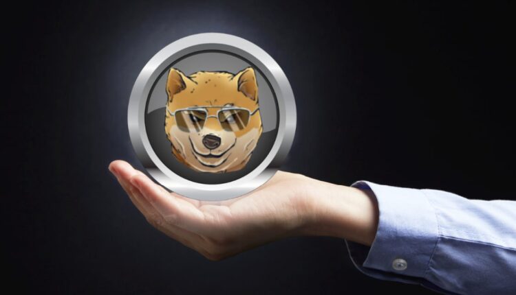 Zapomnij o FLOKI i BONK: Ten niedowartościowany memecoin jest gotowy na wybuch przed końcem 2024 roku