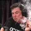 elon musk jaguar