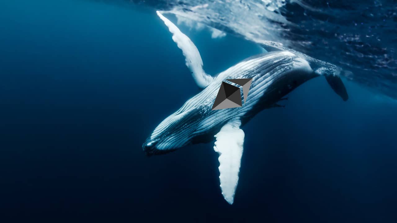 ethereum whale