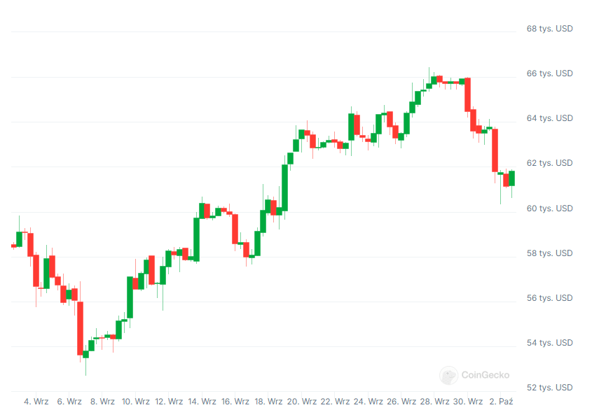 Wykres kursu Bitcoina, źródło: Coingecko