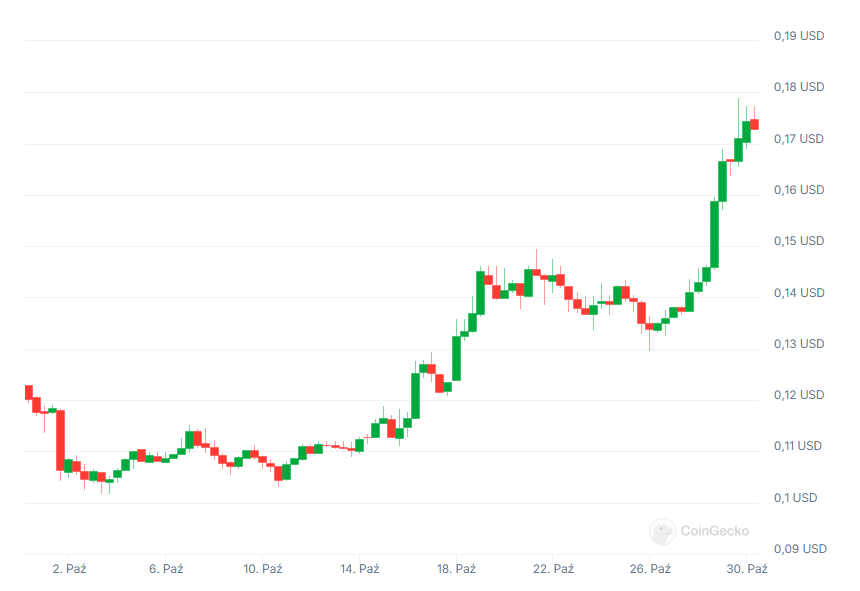 Wykres kursu DOGE, źródło: Coingecko