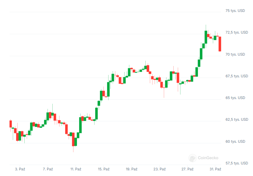 Aktualny kurs Bitcoina (BTC), źródło: Coingecko