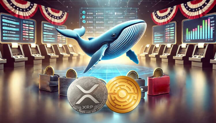 Kryptowalutowy wieloryb przenosi 104 miliony XRP — strategia związana z wyborami?