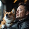 Dogecoin price rise and ETP launch news