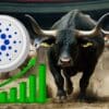 Cardano i wykres pokazujący wzrost, w tle rozpędzone byki.