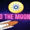 Czy rakieta Cardano zmierza po rekord?