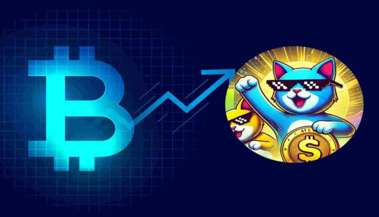 CatSlap – nowy meme coin wzbudza zainteresowanie inwestorów