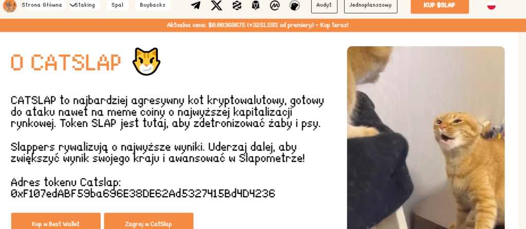 CatSlap – grafika II