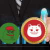 Czy Catzilla prześcignie Pepe?
