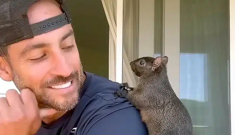 O co chodzi z wiewiórką Peanut? Solana przeżywa dzięki niej prawdziwy szał memecoinów!