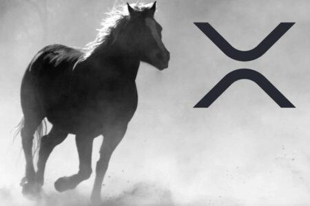 Wielki triumf Ripple nad SEC na horyzoncie? Ekspert: dadzą sobie z tym spokój!