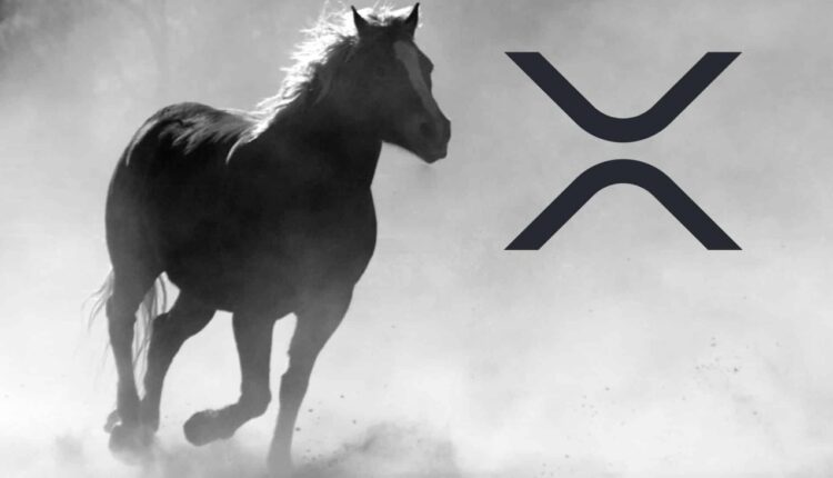 Wielki triumf Ripple nad SEC na horyzoncie? Ekspert: dadzą sobie z tym spokój!