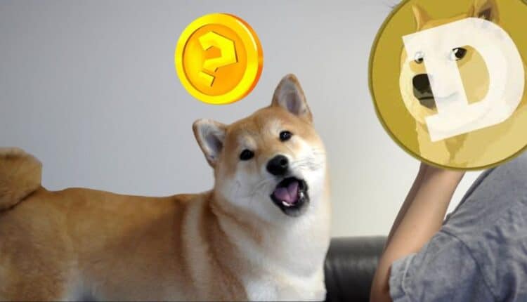 Tajemniczy token rzuca wyzwanie DOGE.