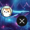 ZDEX