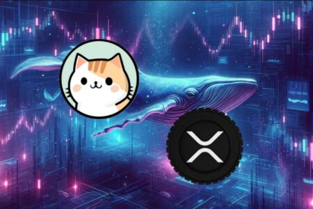 Wieloryby akumulują ZircuitDEX i XRP – liczą na 500-krotny wzrost?
