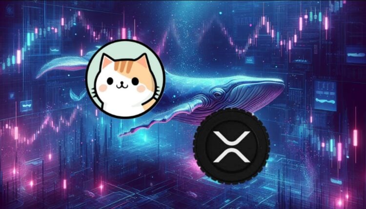 ZDEX