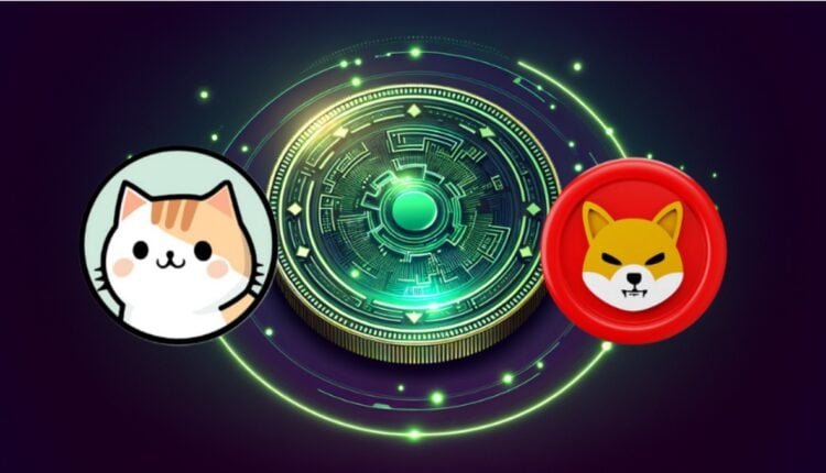 Milionerzy Shiba Inu wspierają ZDEX jako kolejne wielkie odkrycie przed znaczącymi debiutami giełdowymi