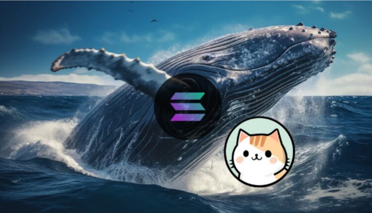 Czy ta moneta warta $0,0005 może prześcignąć Solanę? Analitycy stawiają dużo na jej 300-krotny potencjał