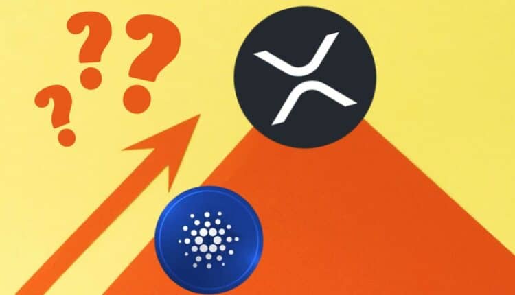 Cardano zazdrości sukcesu XRP. Czy może osiągnąć 10 dolarów podczas tej hossy? Te 5 alternatyw dla ADA może osiągnąć lepsze wyniki