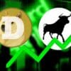 Rozpędzony Dogecoin z szansami na dalsze wzrosty.