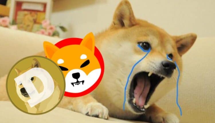 Dogecoin i Shiba Inu muszą odejść w cień? Ten token za 0,000667 USD ma szansę zdominować rynek do 2025 roku!