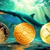 DOGE, XRP Whale Buys i przedsprzedaż MTAUR: prognozy dotyczące kryptowalut na lata 2024 i 2025