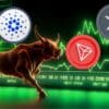 ADA, TRX i XRP zwyżkują, byk zielone wykresy giełdowe.