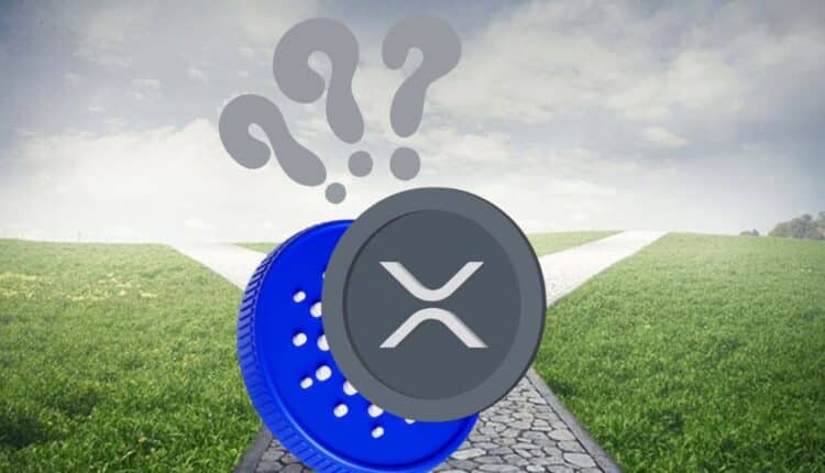 Cardano i XRP na rozdrożu: mogą nadal rosnąć w 2024 roku lub zostaną zdominowane przez nowego memecoina