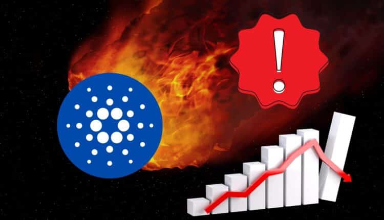Cardano zagrożone spadkiem.