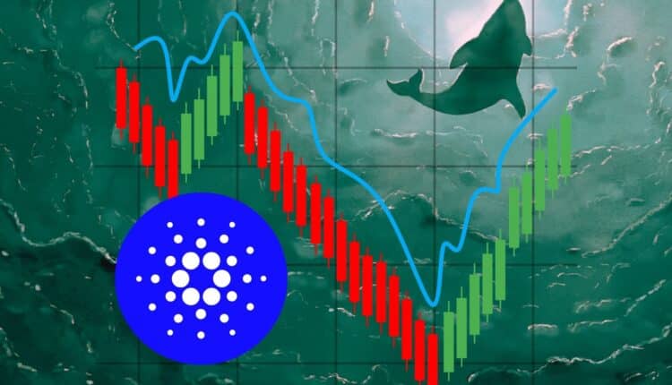 Ten altcoin jest na celowniku wielorybów. W dwa dni wchłonęły z rynku 20 mln sztuk