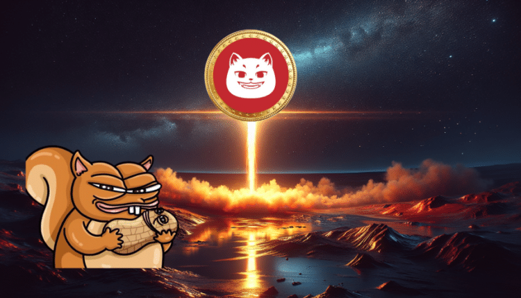 Czy to kolejny PNUT? Ten nowy memecoin może zyskać 12 000% do 2025 roku!