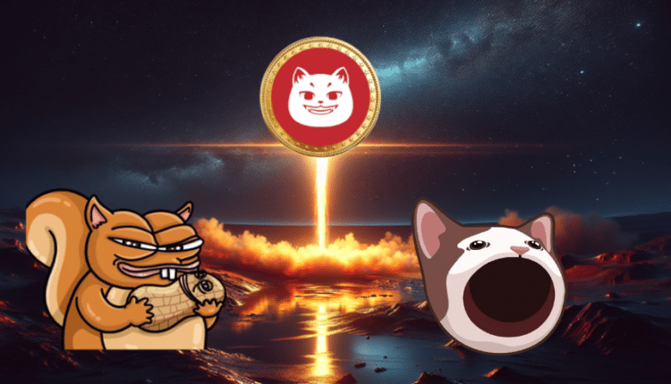 Następny kryptohit: Catzilla może osiągnąć gigantyczne wzrosty na poziomie 10 000% i pokonać pokonać PNUT i POPCAT. Oto dlaczego