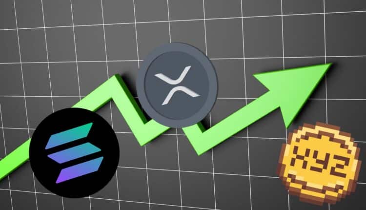 Solana dąży do 400 dolarów, a XRP celuje w 10 dolarów. Czy XYZVerse będzie kolejną gwiazdą sektora memecoinów w 2025 roku?