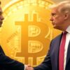 trump musk bitcoin krypto