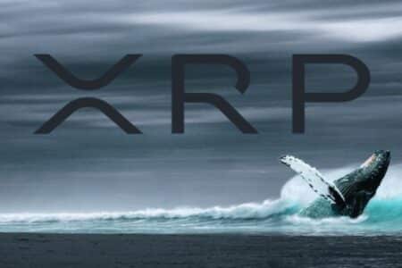 Kurs Ripple (XRP) zanurkował. Co dalej? Wieloryby mogą zadecydować