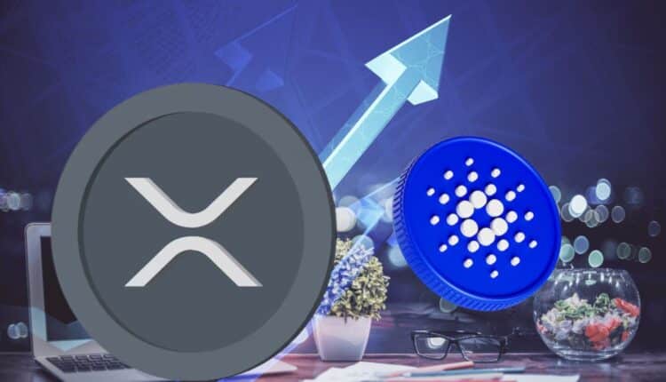 XRP staje się trzecią co do wielkości kryptowalutą w ciągu zaledwie kilku dni. Które altcoiny mogą jeszcze namieszać w TOP10?