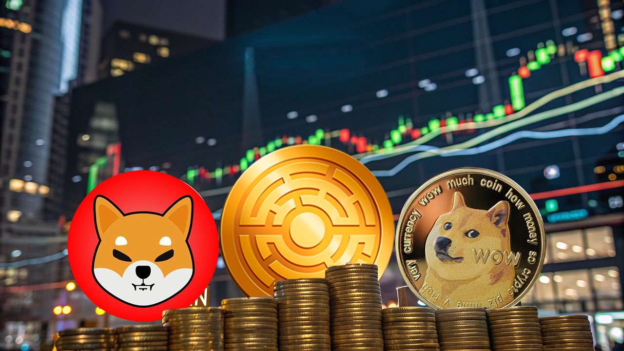 Market Rebound in Order Dogecoin and Shiba Inu Set for Massive Price Upsurge as New Coin Raises Millions in Presale