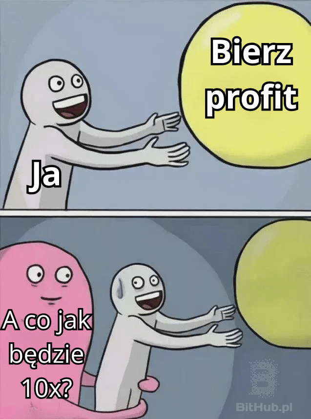 Bierz_profit_mem