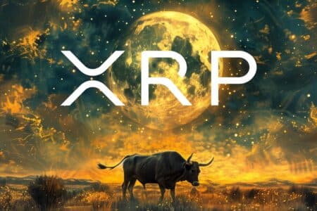 Wieloryby napychają portfele XRP. Kolejny rajd zbliża się wielkimi krokami?