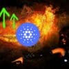 Cardano jako feniks, który szykuje się do odrodzenia i wzrostu.
