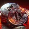 catzilla bitcoin btc