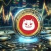 catzilla cardano ada
