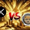 dogen crypto