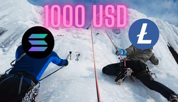 Ten altcoin może osiągnąć 1000 USD jako pierwszy. Przeskoczy Solanę?