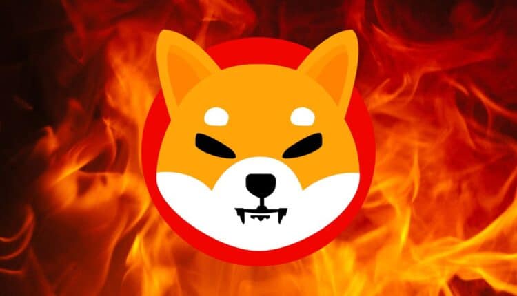 Shiba Inu eksploduje? Analityk prognozuje wzrost o 200 proc.!