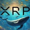 Wieloryby polują na Ripple (XRP).