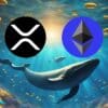 Wieloryby polują na XRP i ETH.