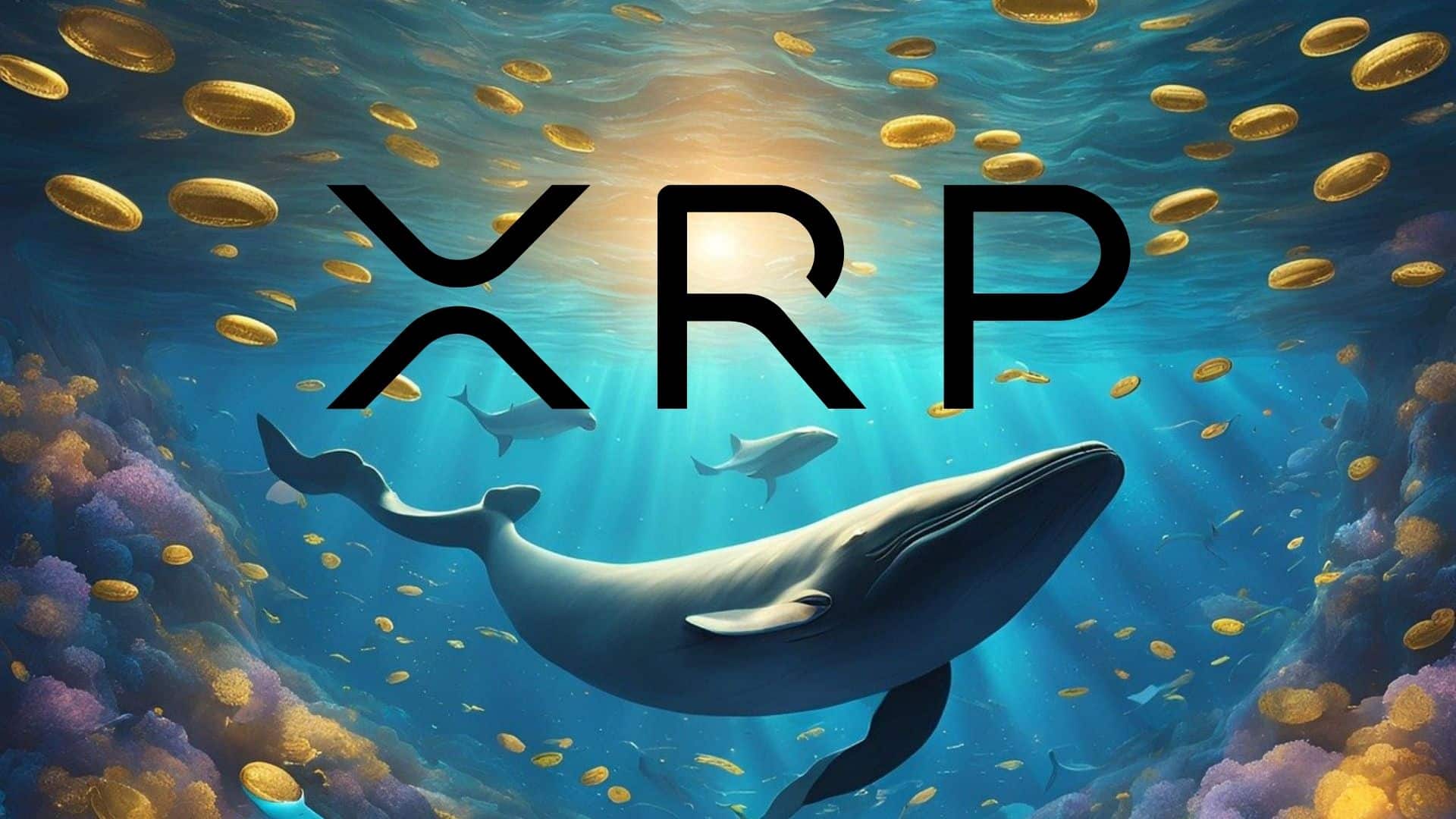 Wieloryby polują na Ripple (XRP).